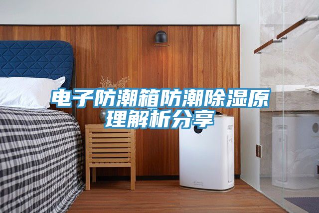 亚洲欧美一级特黄大片 电子防潮箱防潮除湿原理解析分享