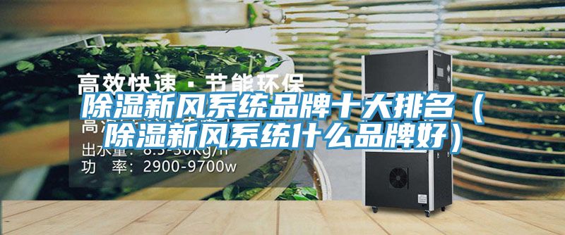 亚洲欧美一级特黄大片 除湿新风系统品牌十大排名（除湿新风系统什么品牌好）