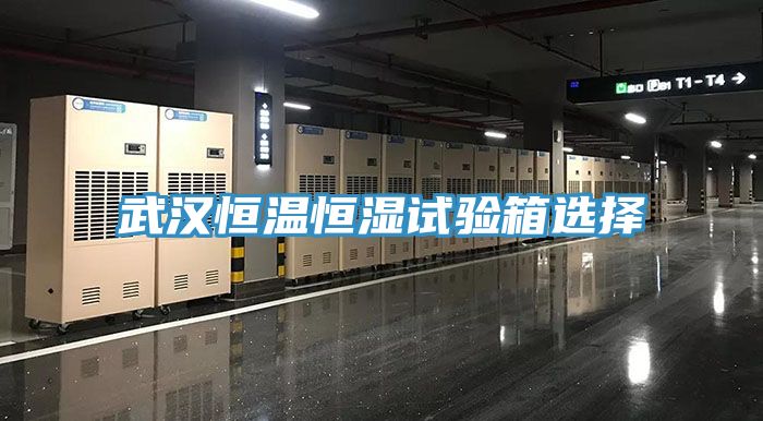 亚洲欧美一级特黄大片 武汉恒温恒湿试验箱选择