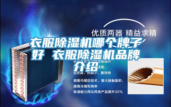 亚洲欧美一级特黄大片 衣服除湿机哪个牌子好 衣服除湿机品牌介绍