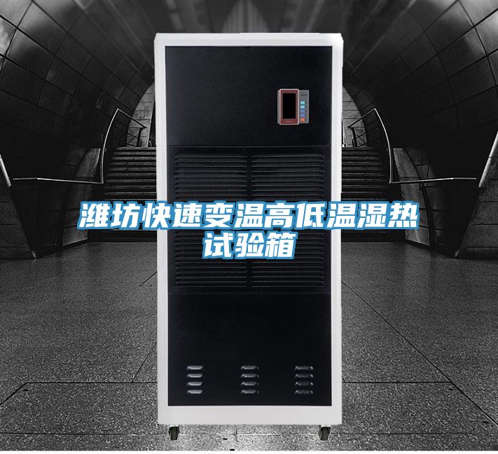 亚洲欧美一级特黄大片 潍坊快速变温高低温湿热试验箱