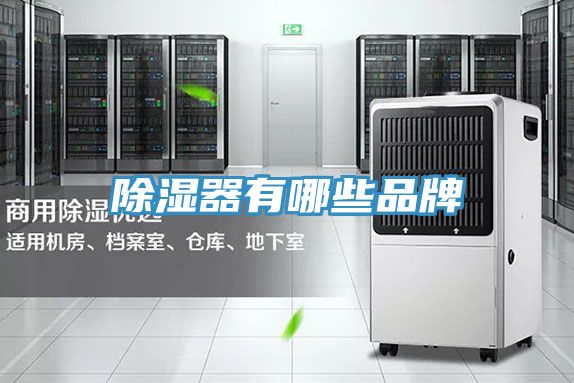 亚洲人成综合第一网站 除湿器有哪些品牌