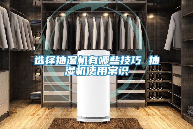 亚洲乱码一区二区三区 选择抽湿机有哪些技巧 抽湿机使用常识