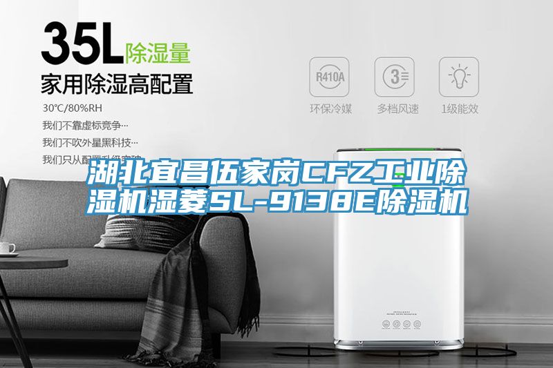亚洲人成综合第一网站 湖北宜昌伍家岗CFZ工业除湿机湿菱SL-9138E除湿机