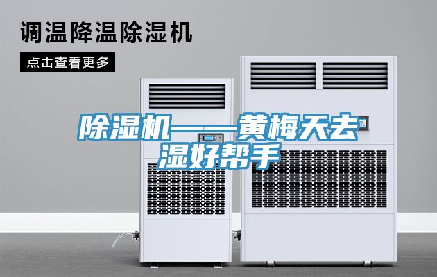 亚洲欧美一级特黄大片 除湿机——黄梅天去湿好帮手