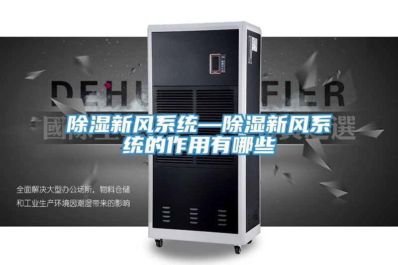 亚洲人成综合第一网站 除湿新风系统—除湿新风系统的作用有哪些