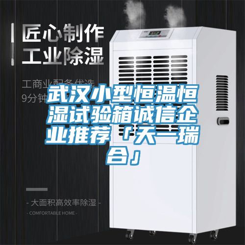 亚洲欧美一级特黄大片 武汉小型恒温恒湿试验箱诚信企业推荐「天一瑞合」