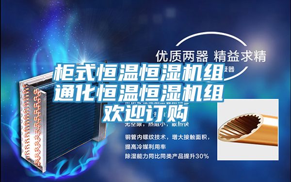 亚洲欧美一级特黄大片 柜式恒温恒湿机组 通化恒温恒湿机组 欢迎订购