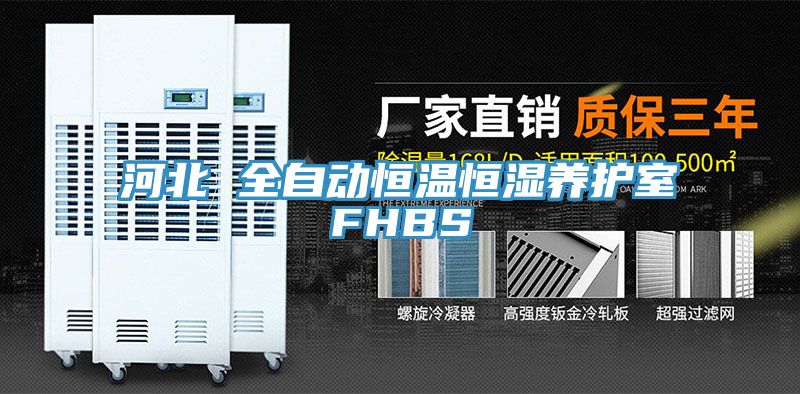 亚洲人成综合第一网站 河北 全自动恒温恒湿养护室FHBS