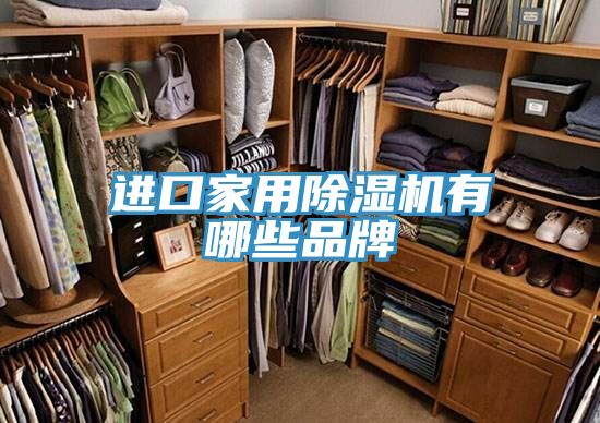亚洲人成综合第一网站 进口家用除湿机有哪些品牌