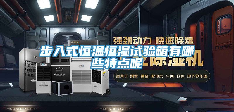 亚洲人成综合第一网站 步入式恒温恒湿试验箱有哪些特点呢