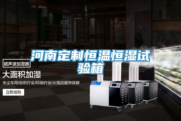 亚洲人成综合第一网站 河南定制恒温恒湿试验箱