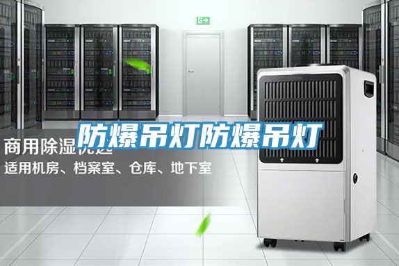 亚洲乱码一区二区三区 防爆吊灯防爆吊灯