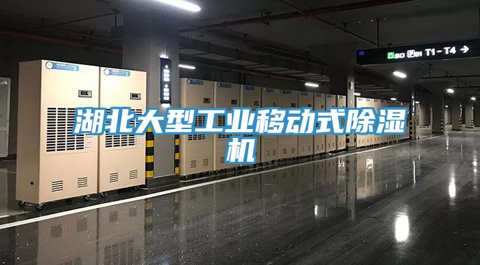 亚洲乱码一区二区三区 湖北大型工业移动式除湿机