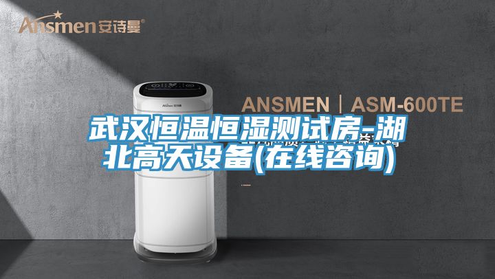 亚洲欧美一级特黄大片 武汉恒温恒湿测试房-湖北高天设备(在线咨询)