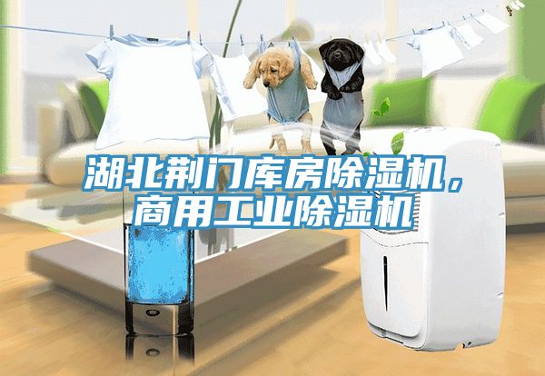 亚洲欧美一级特黄大片 湖北荆门库房除湿机，商用工业除湿机