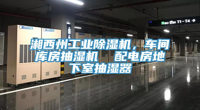 亚洲人成综合第一网站 湘西州工业除湿机，车间库房抽湿机  配电房地下室抽湿器