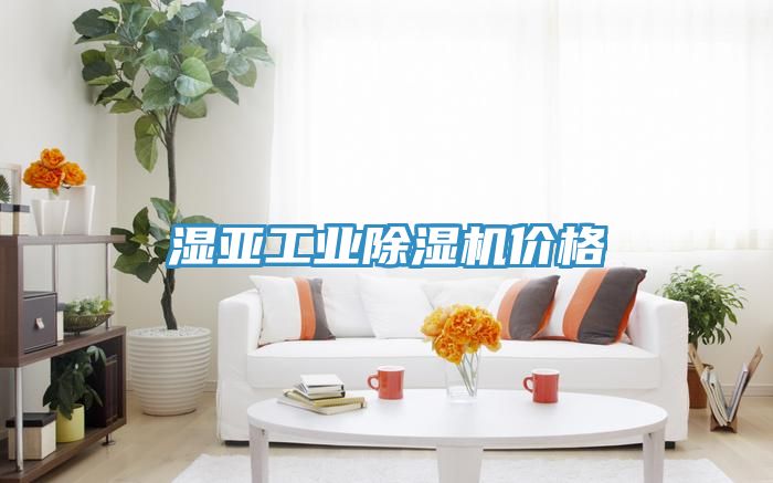 亚洲欧美一级特黄大片 湿亚工业除湿机价格