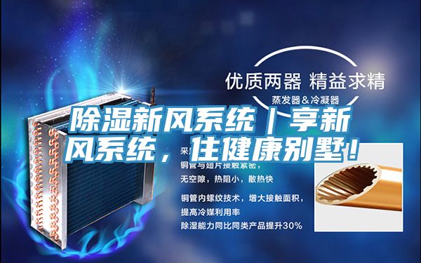 亚洲人成综合第一网站 除湿新风系统｜享新风系统，住健康别墅！