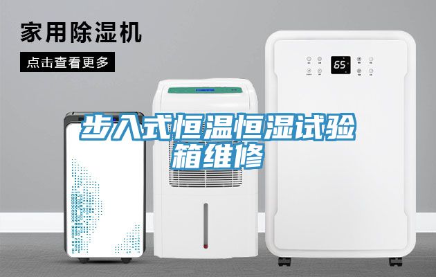 亚洲人成综合第一网站 步入式恒温恒湿试验箱维修