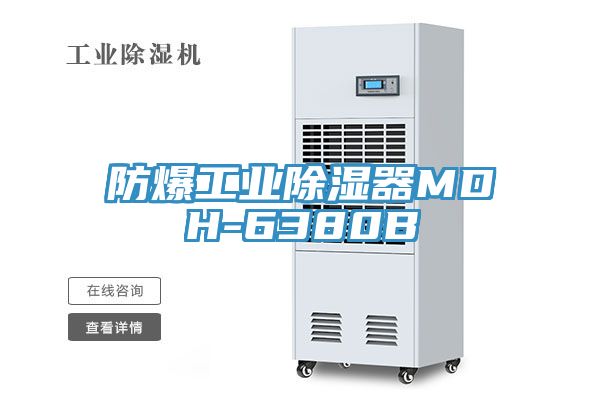 亚洲人成综合第一网站 防爆工业除湿器MDH-6380B