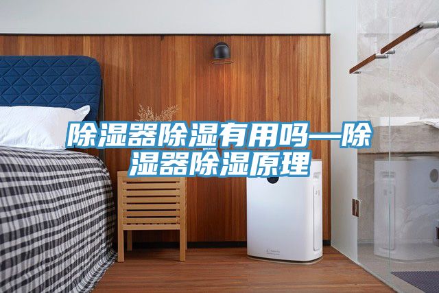 亚洲乱码一区二区三区 除湿器除湿有用吗—除湿器除湿原理