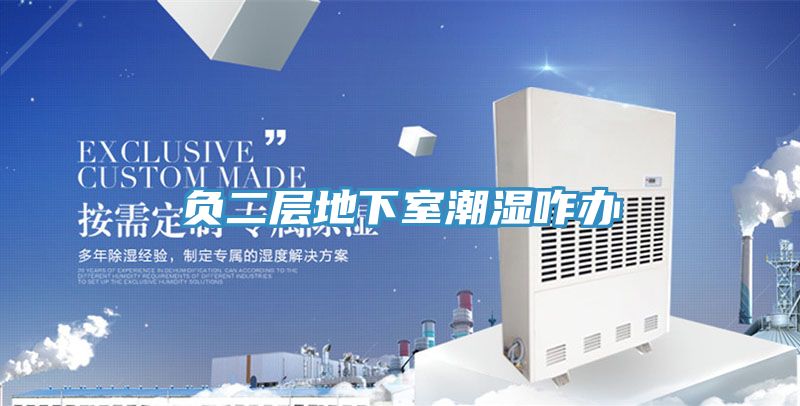 亚洲人成综合第一网站 负二层地下室潮湿咋办