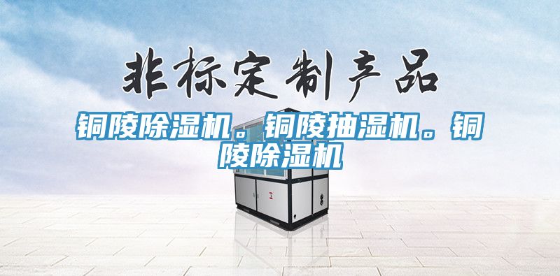 亚洲人成综合第一网站 铜陵除湿机。铜陵抽湿机。铜陵除湿机