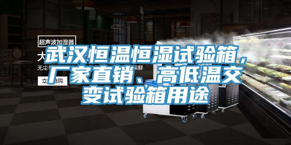 亚洲欧美一级特黄大片 武汉恒温恒湿试验箱，厂家直销、高低温交变试验箱用途