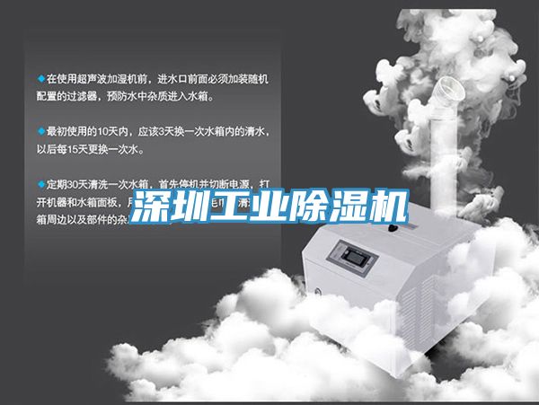 亚洲欧美一级特黄大片 深圳工业除湿机