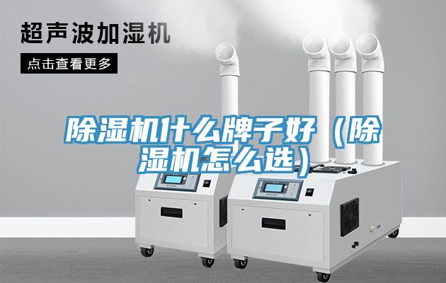 亚洲欧美一级特黄大片 除湿机什么牌子好（除湿机怎么选）