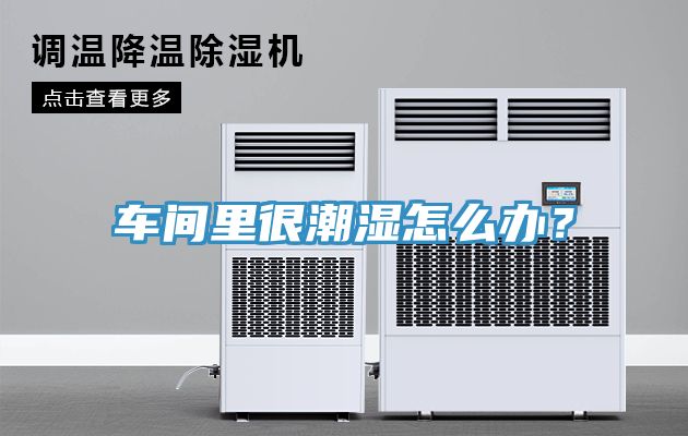 亚洲欧美一级特黄大片 车间里很潮湿怎么办？