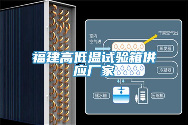亚洲人成综合第一网站 福建高低温试验箱供应厂家
