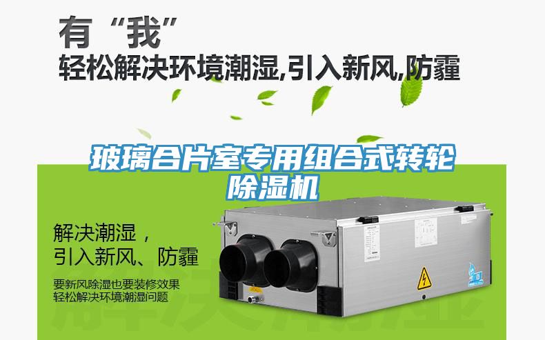 亚洲人成综合第一网站 玻璃合片室专用组合式转轮除湿机