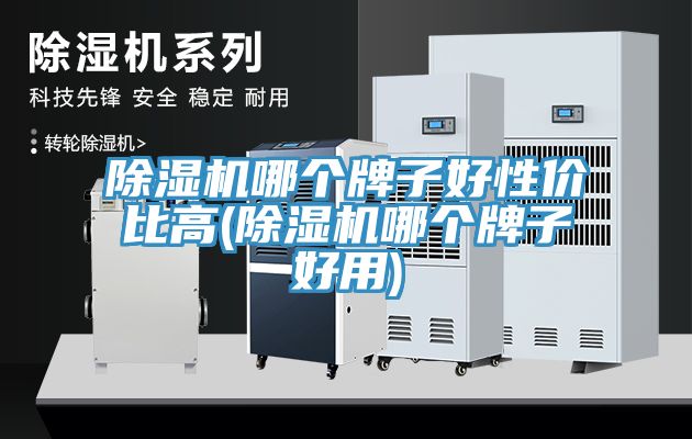 亚洲乱码一区二区三区 除湿机哪个牌子好性价比高(除湿机哪个牌子好用)