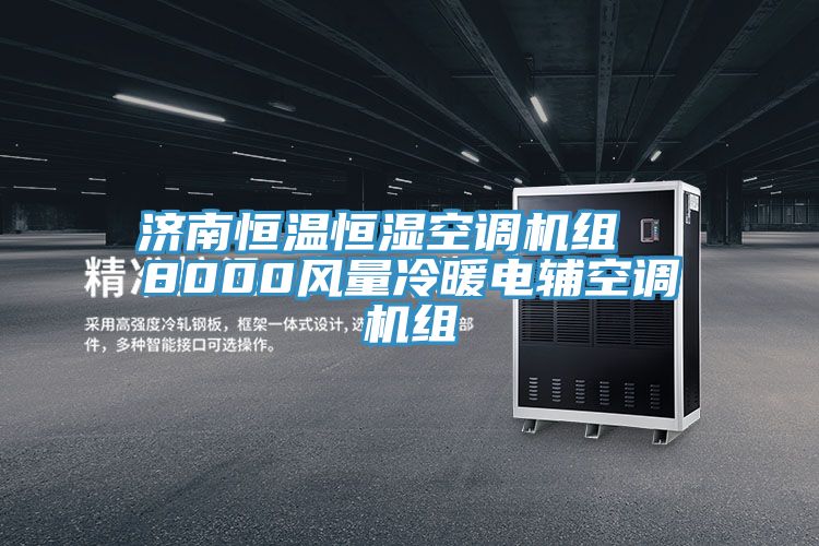 亚洲欧美一级特黄大片 济南恒温恒湿空调机组  8000风量冷暖电辅空调机组