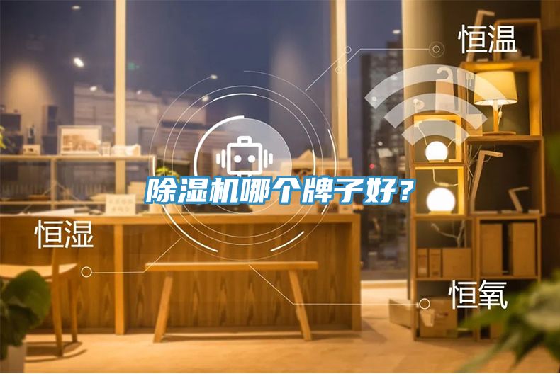 亚洲欧美一级特黄大片 除湿机哪个牌子好？