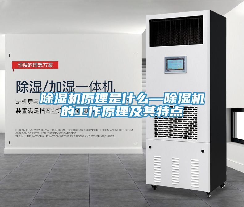 亚洲欧美一级特黄大片 除湿机原理是什么—除湿机的工作原理及其特点