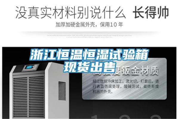 亚洲人成综合第一网站 浙江恒温恒湿试验箱现货出售