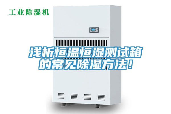 亚洲人成综合第一网站 浅析恒温恒湿测试箱的常见除湿方法！