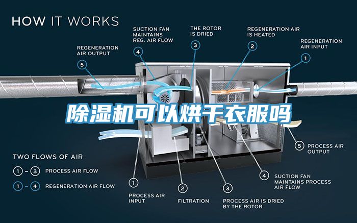 亚洲欧美一级特黄大片 除湿机可以烘干衣服吗