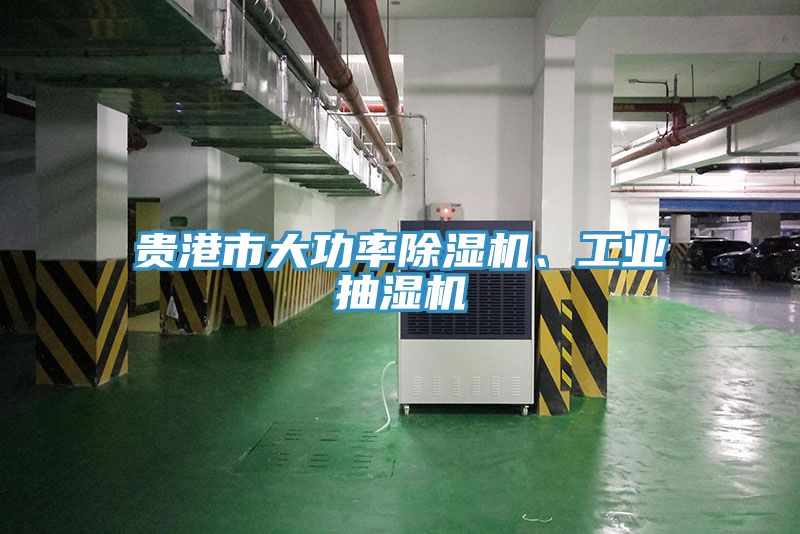 亚洲人成综合第一网站 贵港市大功率除湿机、工业抽湿机