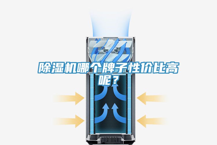 亚洲欧美一级特黄大片 除湿机哪个牌子性价比高呢？