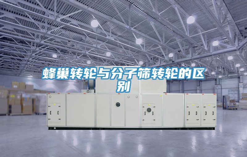 亚洲人成综合第一网站 蜂巢转轮与分子筛转轮的区别