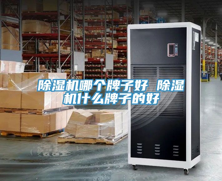 亚洲乱码一区二区三区 除湿机哪个牌子好 除湿机什么牌子的好