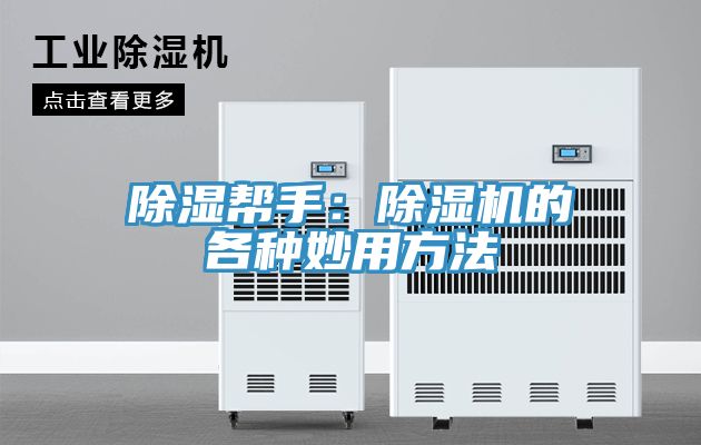 亚洲欧美一级特黄大片 除湿帮手：除湿机的各种妙用方法