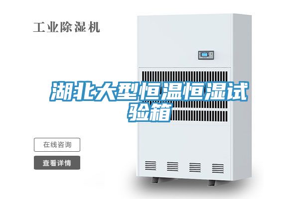 亚洲乱码一区二区三区 湖北大型恒温恒湿试验箱
