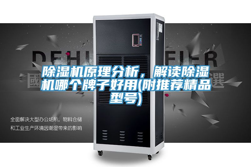 亚洲人成综合第一网站 除湿机原理分析，解读除湿机哪个牌子好用(附推荐精品型号)