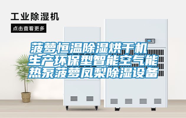 亚洲乱码一区二区三区 菠萝恒温除湿烘干机 生产环保型智能空气能热泵菠萝凤梨除湿设备