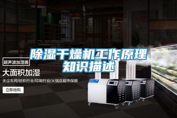 亚洲人成综合第一网站 除湿干燥机工作原理知识描述
